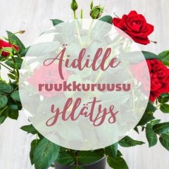 Kukkalähetys Oulunsalo - Kukkakauppa Kukka & Lahja Ruusu