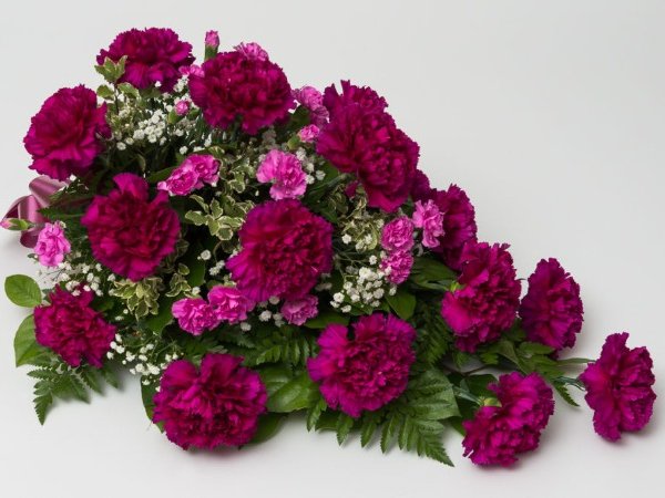 Kukkalaite 02 neilikka